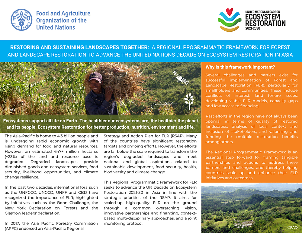 Homepage | FAO Forest and Landscape Restoration Asia