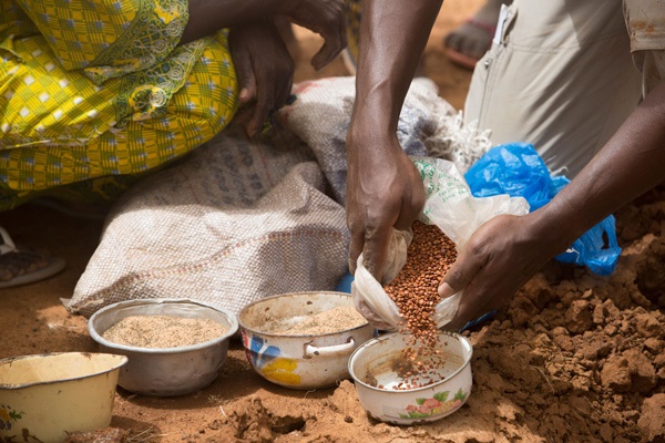 Towards the development of post-harvest management policy and strategy in Burkina Faso