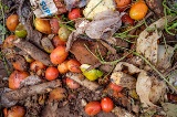Why Reducing Food Loss and Waste Matters