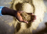 A holistic approach to food loss reduction in Africa
