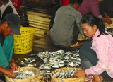 E-learning: Food Loss and waste in fish value chains