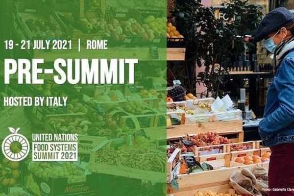 Italy to set the stage for 2021 UN Food Systems Summit