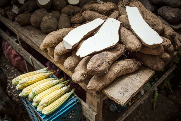 New paper: Addressing postharvest losses in cassava value chains