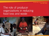 The role of producer organizations in reducing food loss and waste