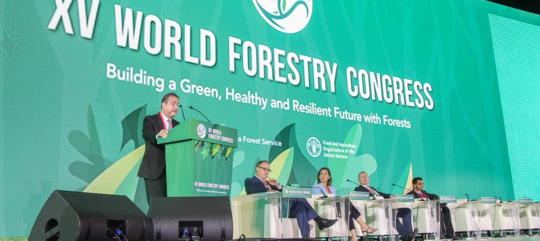 Ministerial Forum on Forest Finance