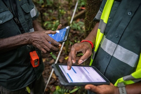 Technological innovation has vastly improved our ability to monitor the world’s forests