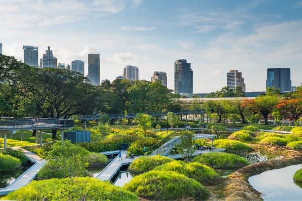 An introduction to Urban and Peri-Urban Forestry