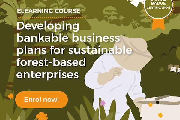 Developing bankable business plans for sustainable forest-based enterprises