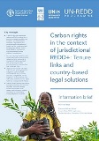 Carbon rights in the context of jurisdictional REDD+ Tenure links and country-based legal solutions