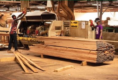 Enabling micro, small and medium-sized enterprises to participate in legal timber production and trade