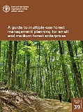Guide to multiple-use forest management planning for small and medium forest enterprises