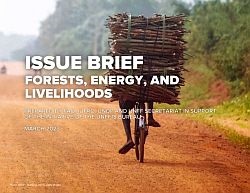 Issues Brief: Forests, energy and livelihoods