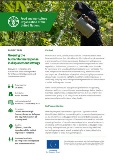 Project brief: Greening the humanitarian response in displacement settings
