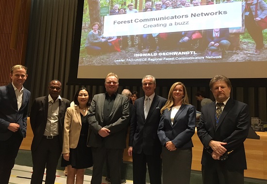Global Coordination Group of the Regional Forest Communicators Network