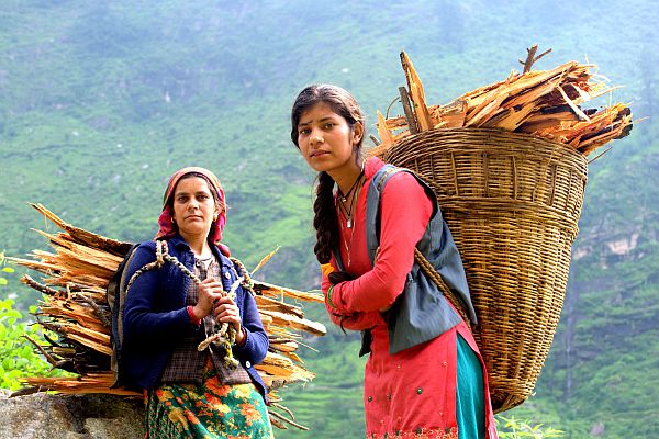 India - Journey with wood Credit FAO/Dakshina Murthy