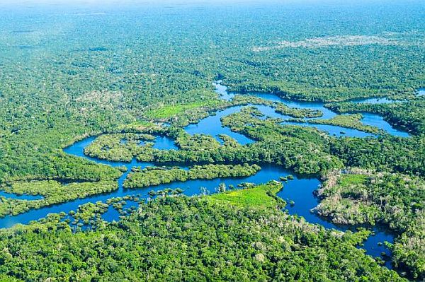 Un nuevo informe dirigido por la FAO, presentado en la Semana Mundial del Agua, brinda orientación sobre la gestión integrada de los bosques y el agua