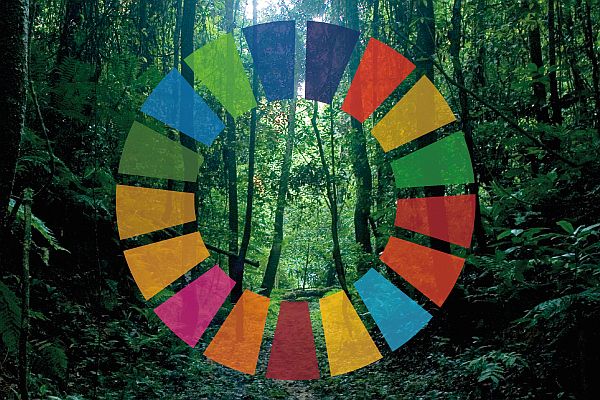 مكتب المساعدة بشأن أهداف التنمية المستدامة