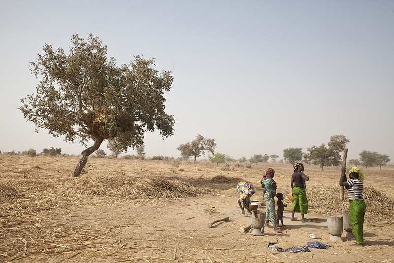 Niger ©FAO/Giulio Napolitano