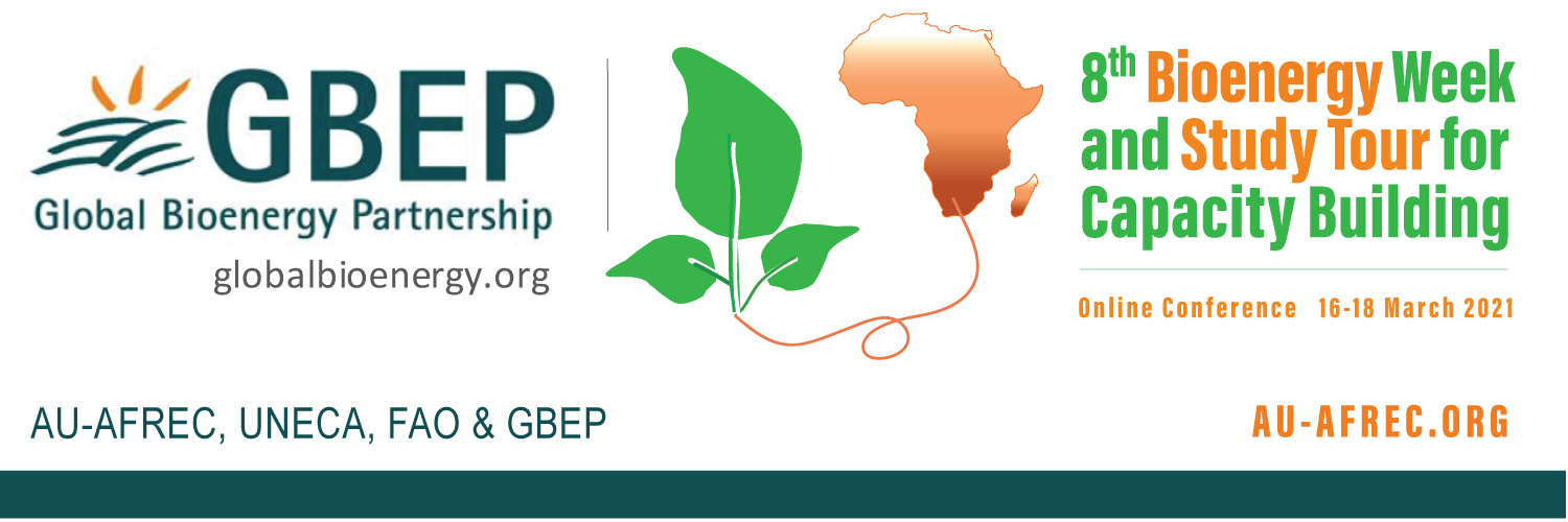 banner of the 8th GBEP Bioenergy Week and study tour