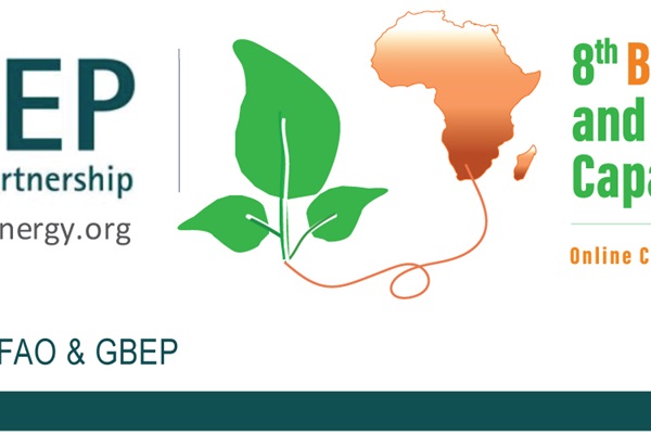 banner of the 8th GBEP Bioenergy Week and study tour