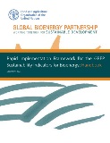 COVER_Rapid Implementation Framework for the GBEP Sustainability Indicators for Bioenergy_ Handbook_page-0001