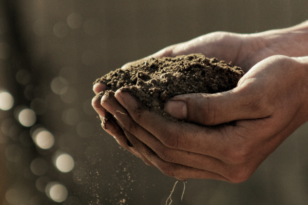 hands holding soil or fertilizer