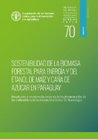 Cover page of the executive summary of the Paraguay report