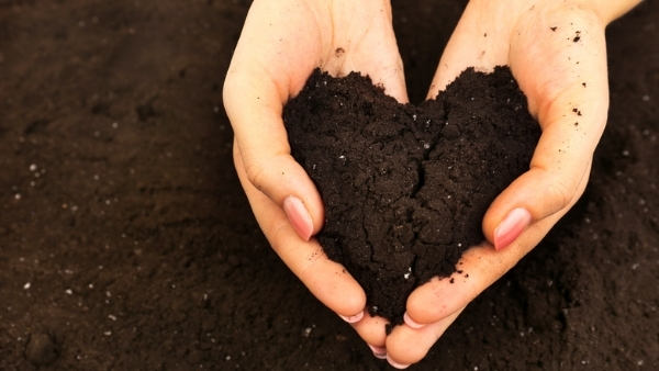 soils partnerships