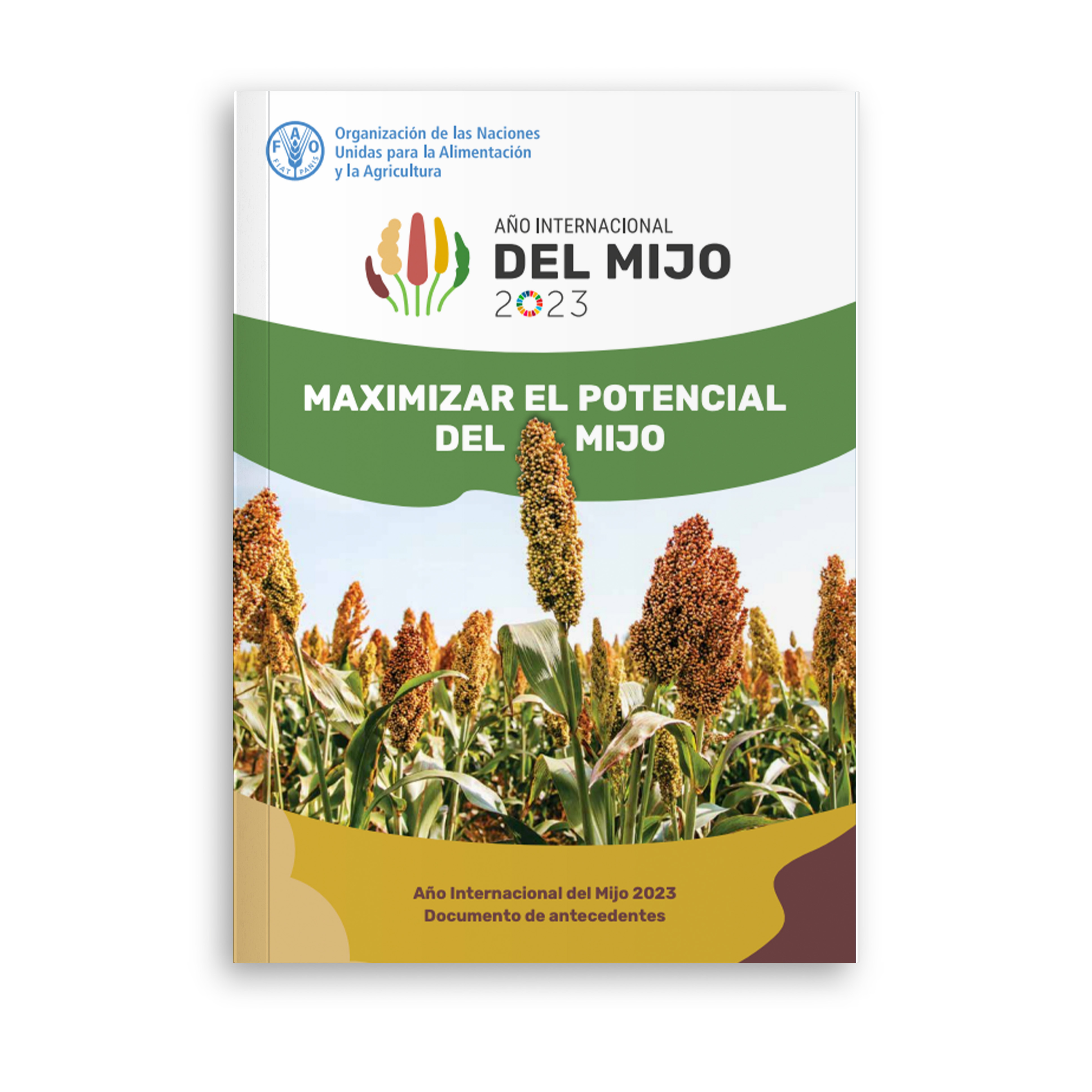 Unleashing the potential of millets - International year of millets 2023 Background paper