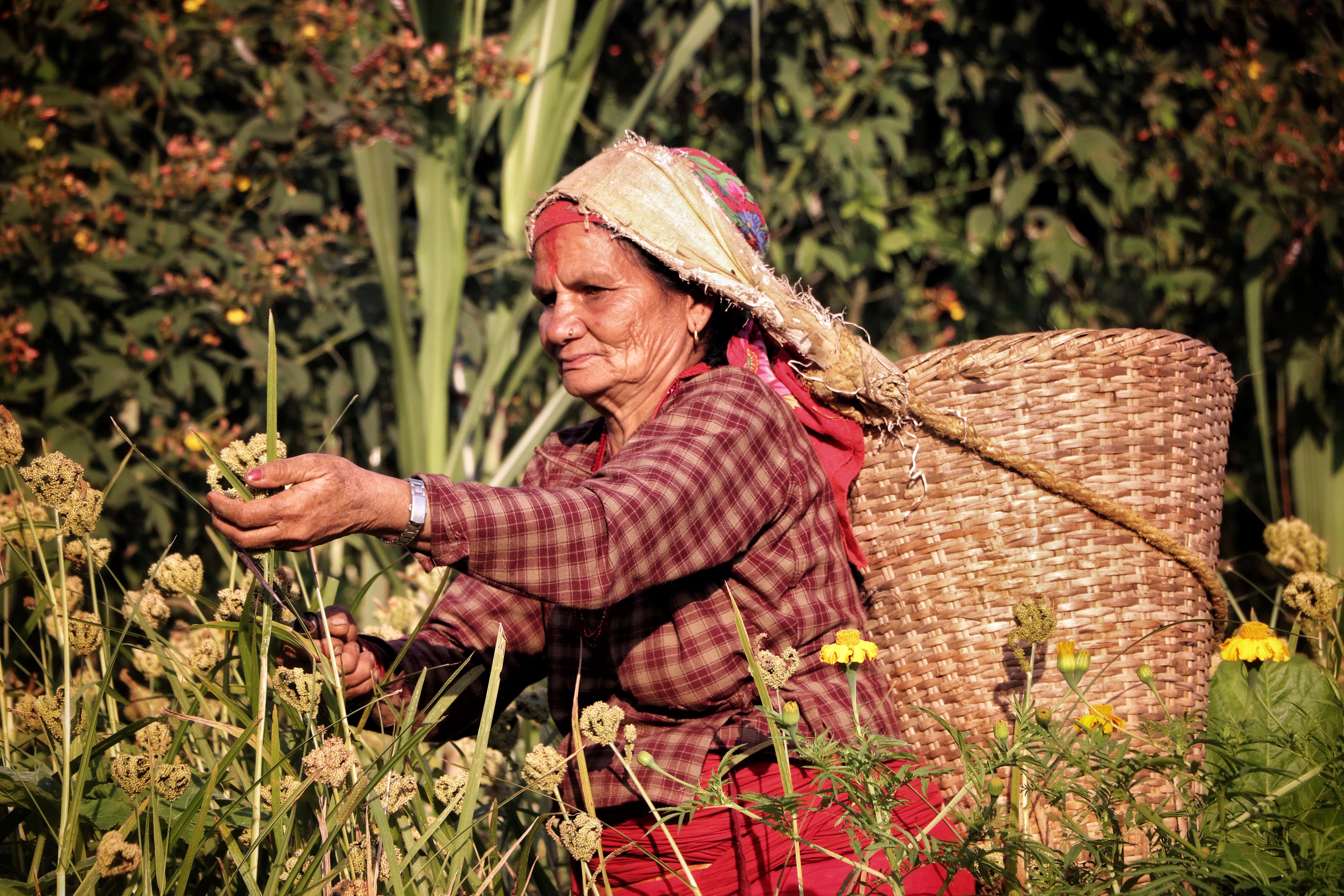 Role of women in millets conservation