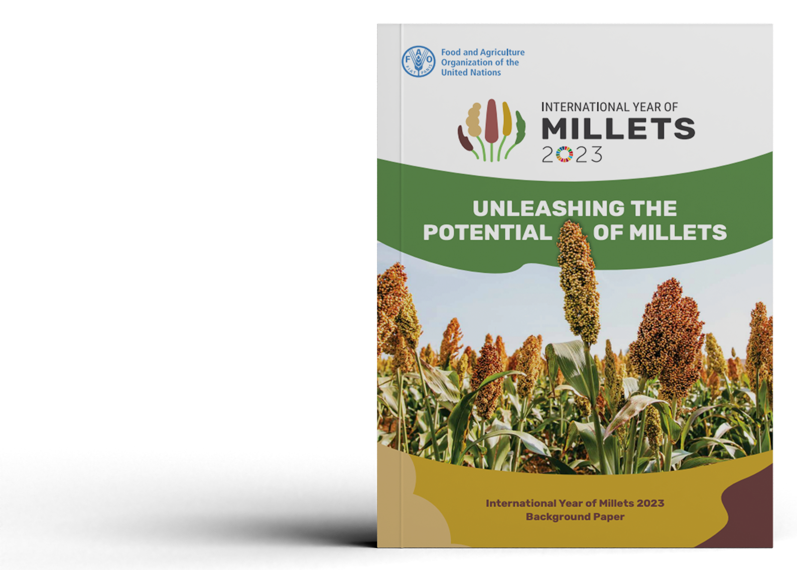 Unleashing the potential of millets - International year of millets 2023 Background paper