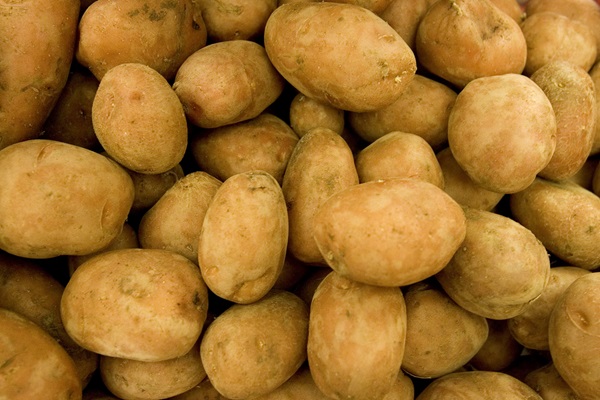 International Day Potato FAO
