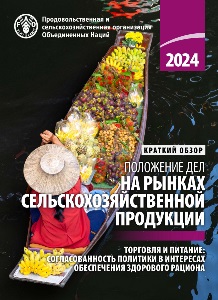 soco2024_inbrief_ru