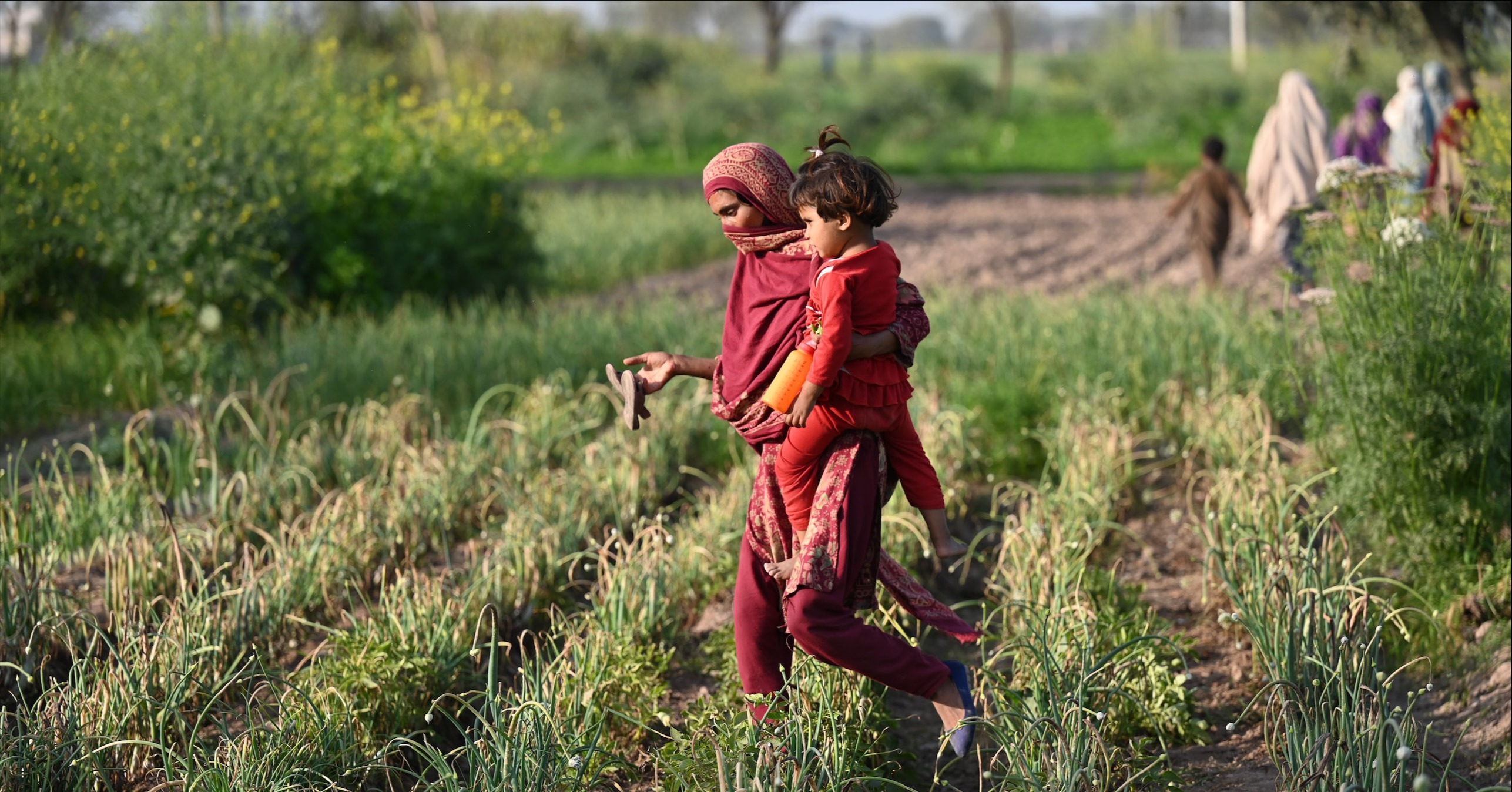 A mother and her child in a field in Pakistan
