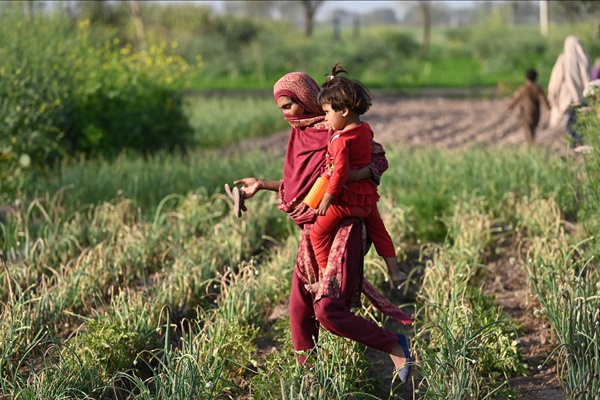 A mother and her child in a field in Pakistan