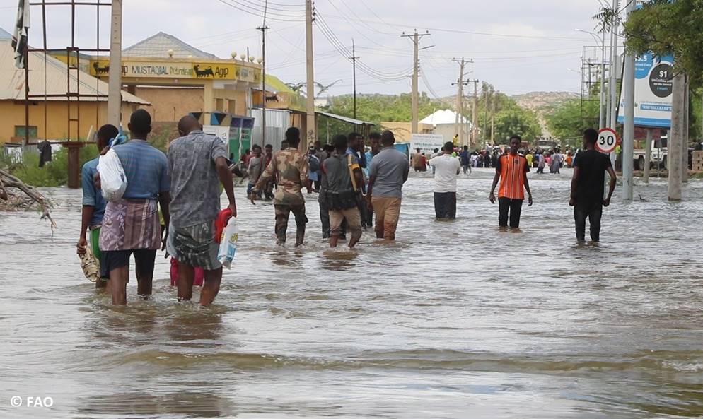 DSWD Extends Php 3.2 M Worth Of Aid To Flood-affected Families In  SOCCSKSARGEN