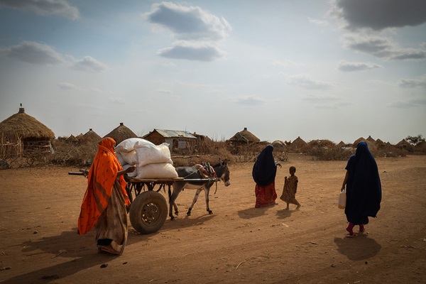 ©FAO/IFAD/WFP/Michael Tewelde