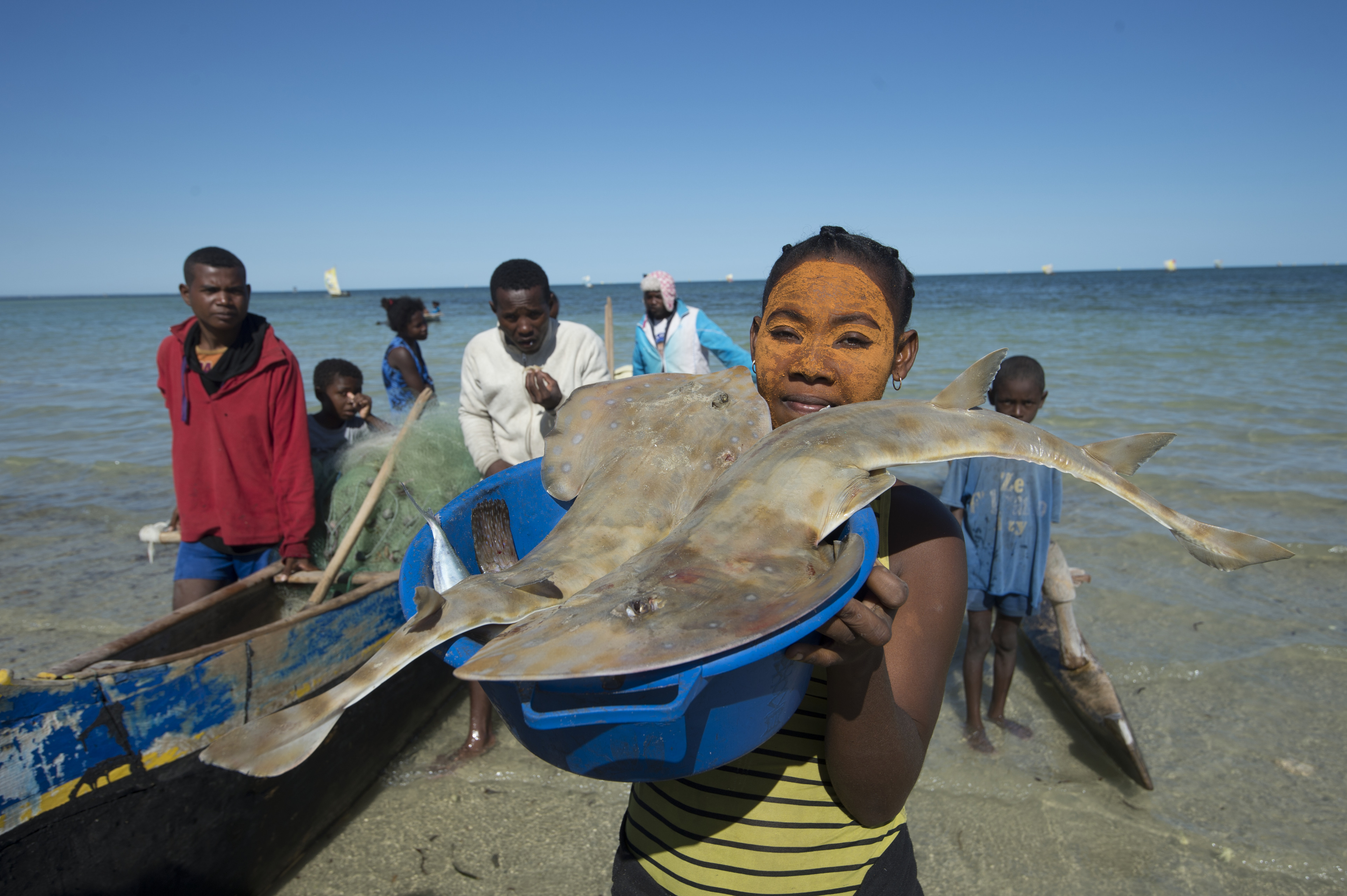 Seafood Media Group - Noticias - Desarrollar la pesca con cañeros atuneros,  una tarea compleja