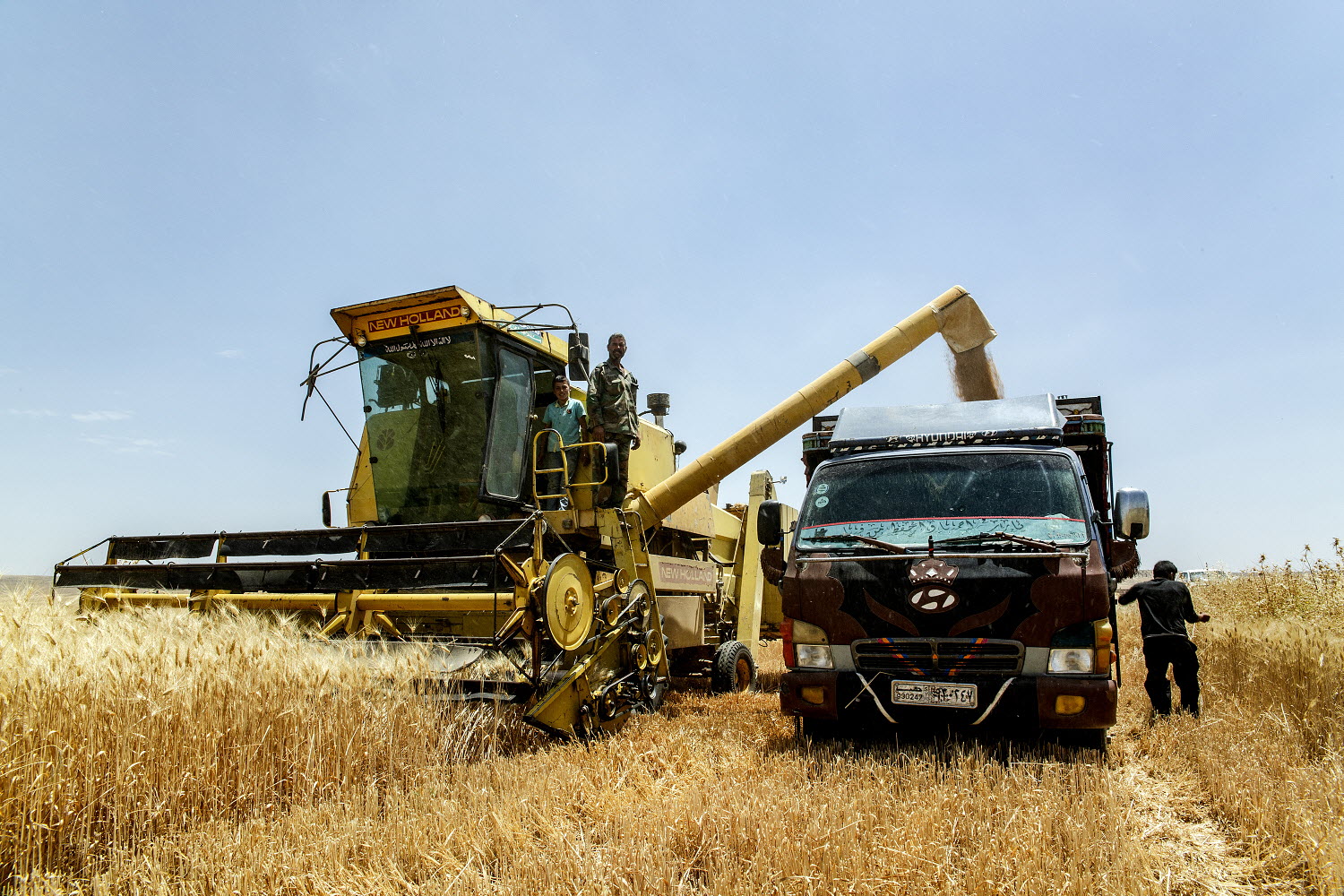 Ukraine has already harvested more than 2.1 million tons of new