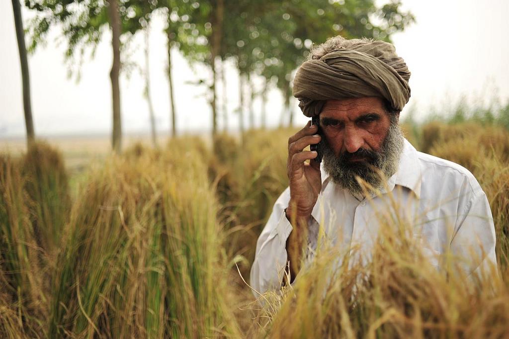More support to family farmers needed to meet world's rising food demands, FAO tells G20