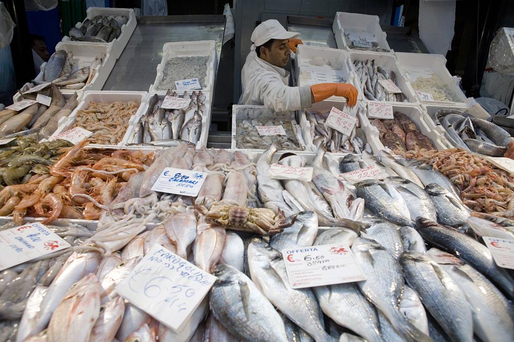 Fish farms to produce nearly two thirds of global food fish supply