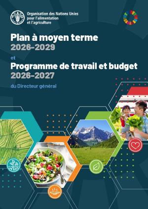Plan à moyen terme 2026‑2029 et Programme de travail et budget 2026-2027