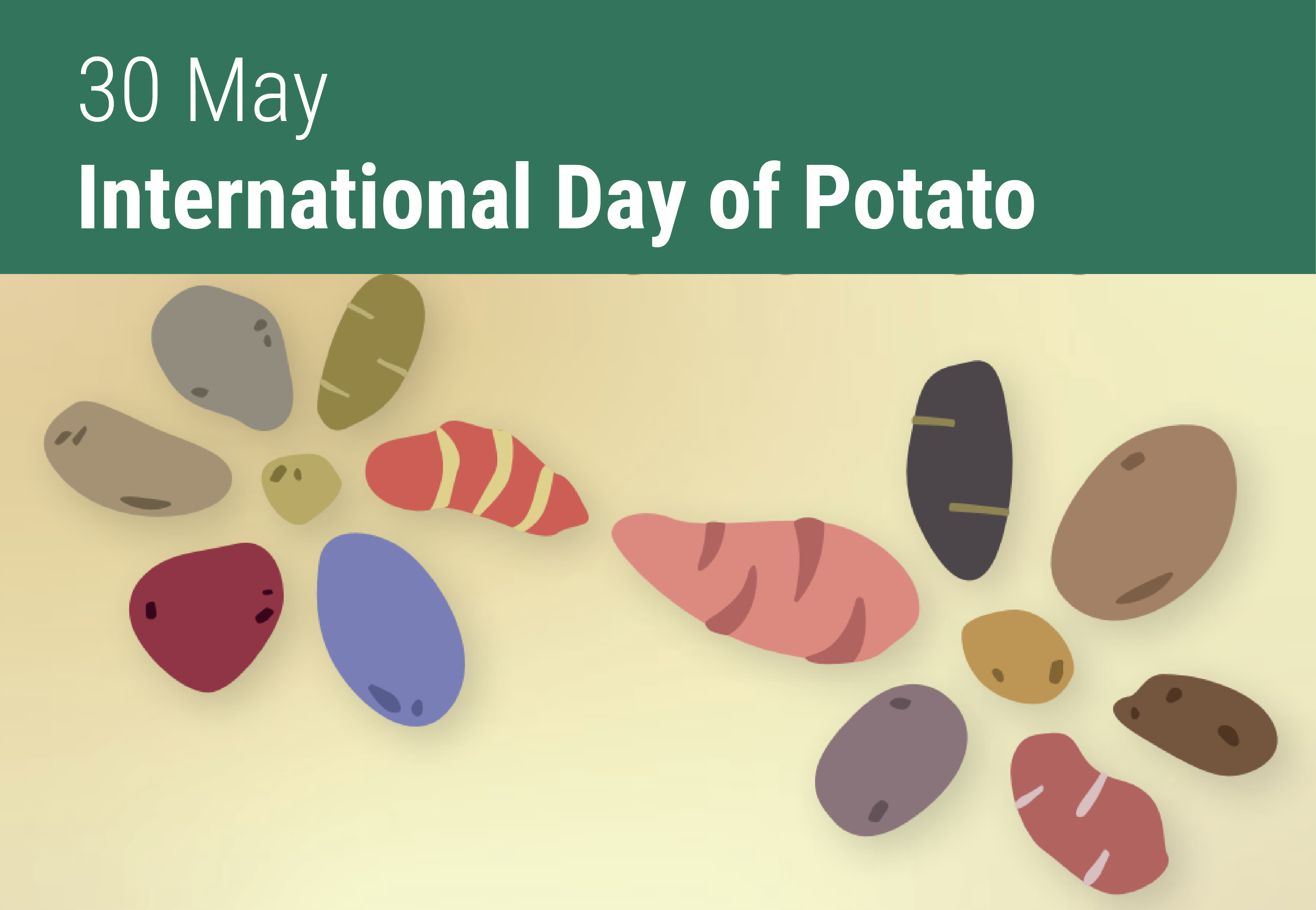 International Day Potato FAO