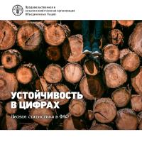 corporate brochure forest prod (1)