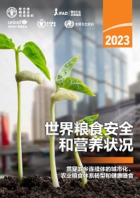 SOFI 2023 Chinese cover