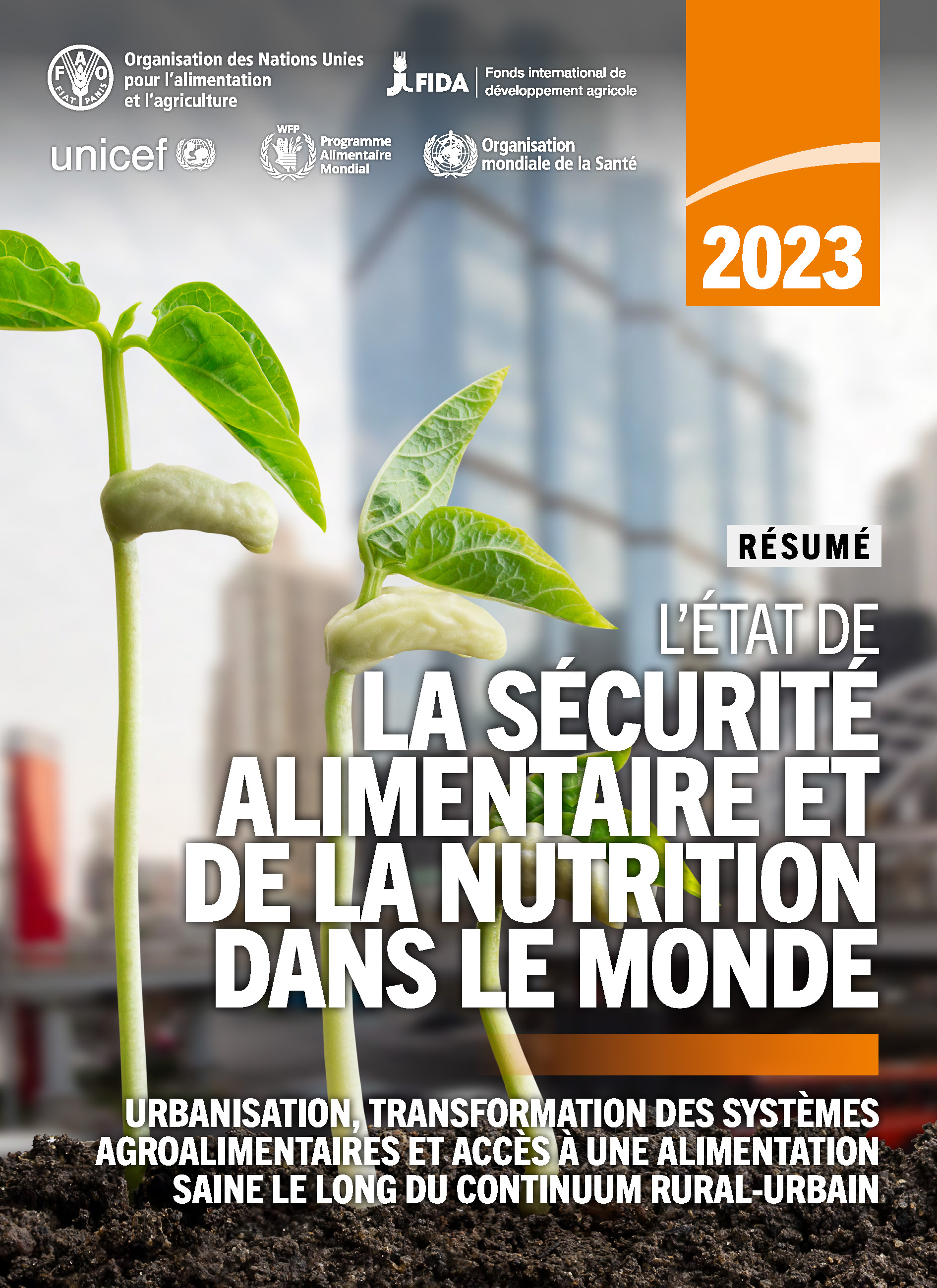 SOFI 2023 French cover in brief
