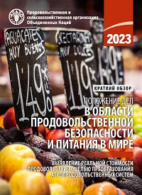 SOFA 2023 cover thumbnail in brief in Russian