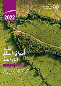 SOCO 2022 cover EN