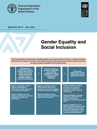 Gender and social inclusion brief