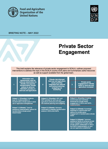 Private sector engagement brief